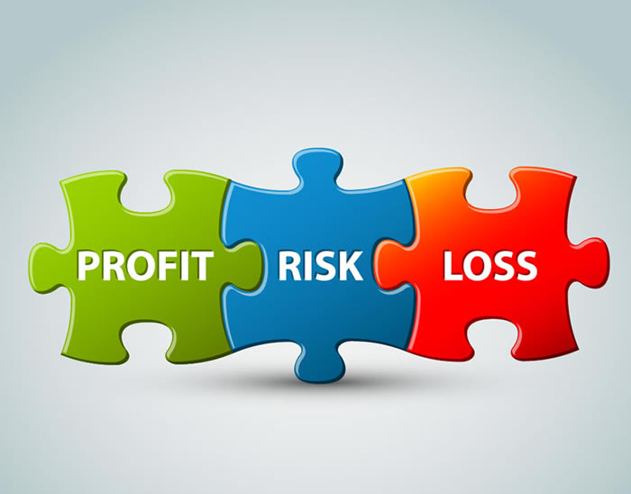 copy10_Profit-Risk-Loss